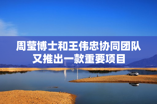 周莹博士和王伟忠协同团队又推出一款重要项目