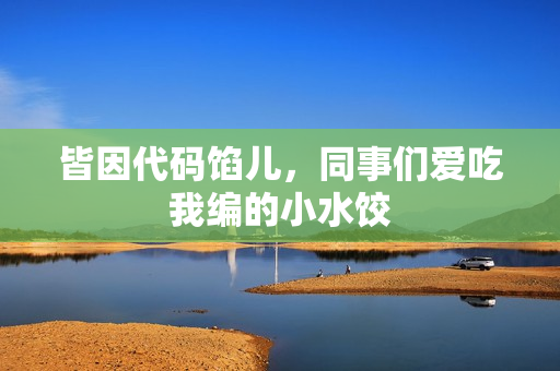 皆因代码馅儿，同事们爱吃我编的小水饺
