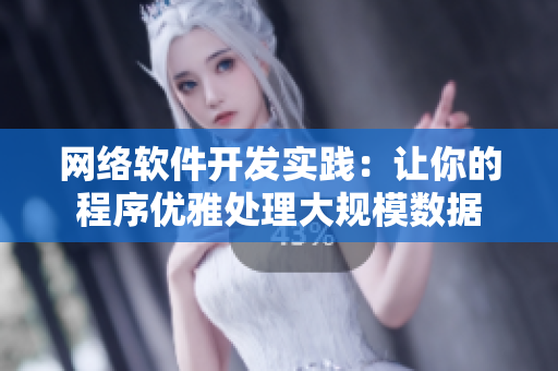 网络软件开发实践：让你的程序优雅处理大规模数据