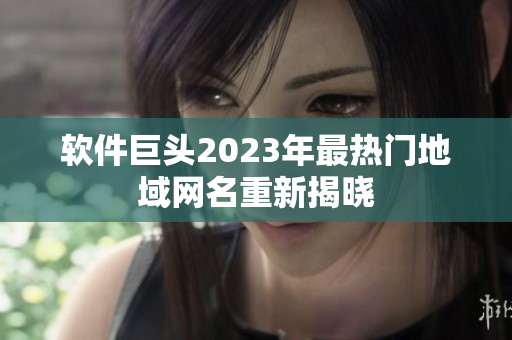 软件巨头2023年最热门地域网名重新揭晓