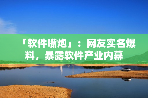 「软件嘴炮」：网友实名爆料，暴露软件产业内幕