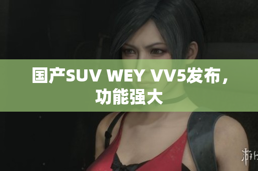 国产SUV WEY VV5发布，功能强大