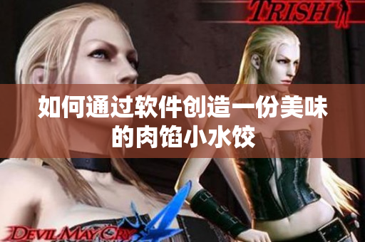 如何通过软件创造一份美味的肉馅小水饺