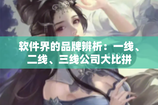 软件界的品牌辨析：一线、二线、三线公司大比拼