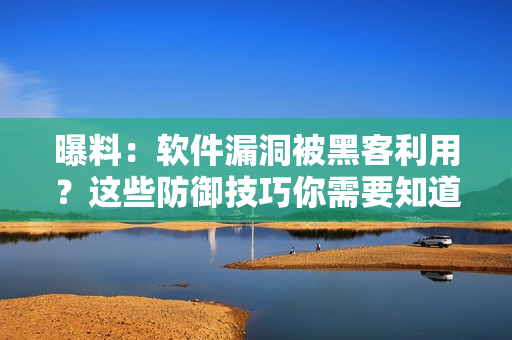 曝料：软件漏洞被黑客利用？这些防御技巧你需要知道！
