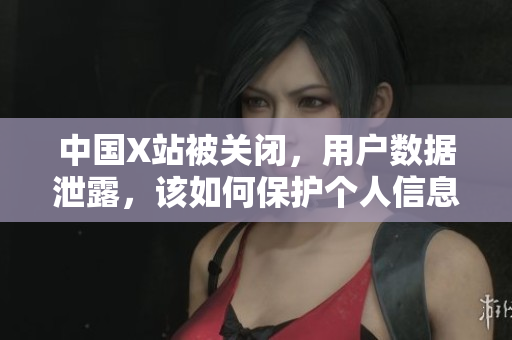 中国X站被关闭，用户数据泄露，该如何保护个人信息？