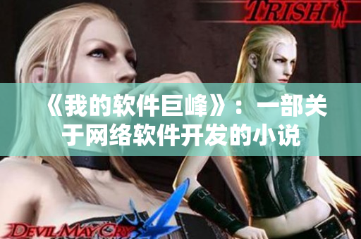 《我的软件巨峰》：一部关于网络软件开发的小说