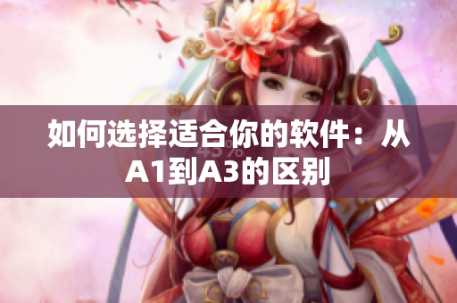 如何选择适合你的软件：从A1到A3的区别
