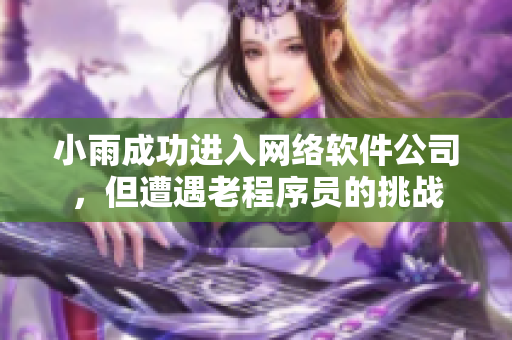 小雨成功进入网络软件公司，但遭遇老程序员的挑战