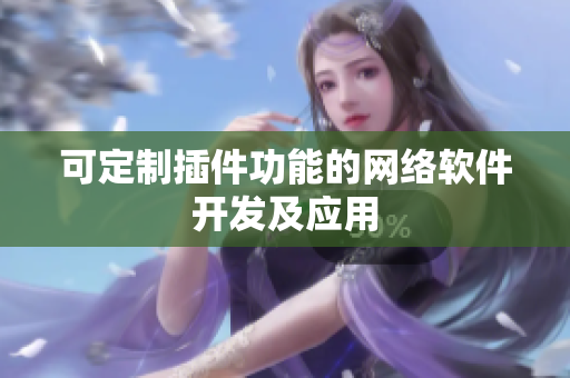 可定制插件功能的网络软件开发及应用