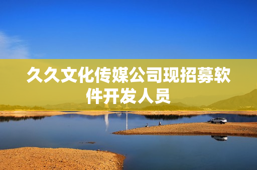 久久文化传媒公司现招募软件开发人员
