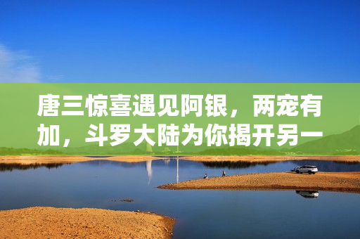 唐三惊喜遇见阿银，两宠有加，斗罗大陆为你揭开另一篇篇美好故事