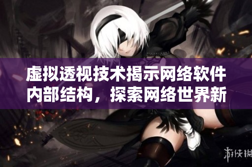 虚拟透视技术揭示网络软件内部结构，探索网络世界新形态