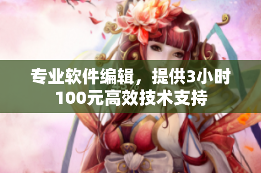 专业软件编辑，提供3小时100元高效技术支持