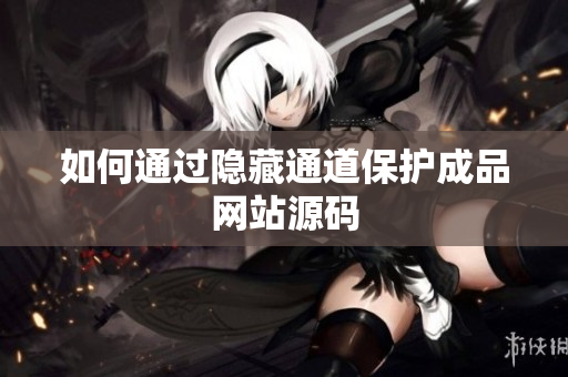 如何通过隐藏通道保护成品网站源码