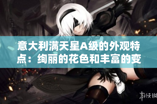 意大利满天星A级的外观特点：绚丽的花色和丰富的变种