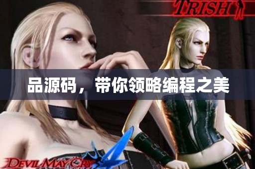 品源码，带你领略编程之美