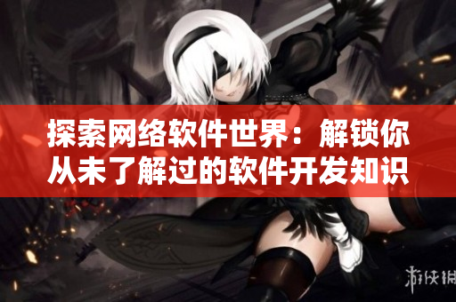 探索网络软件世界：解锁你从未了解过的软件开发知识