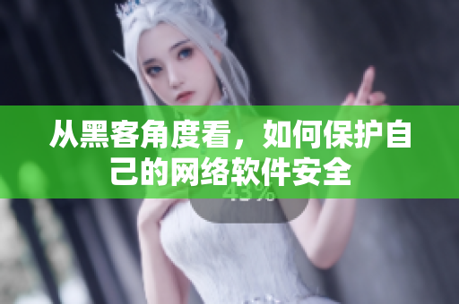 从黑客角度看，如何保护自己的网络软件安全
