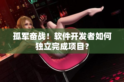 孤军奋战！软件开发者如何独立完成项目？