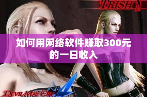 如何用网络软件赚取300元的一日收入