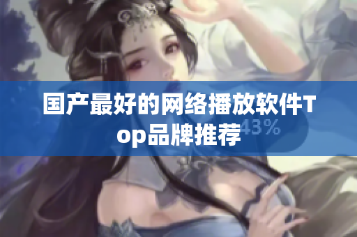 国产最好的网络播放软件Top品牌推荐