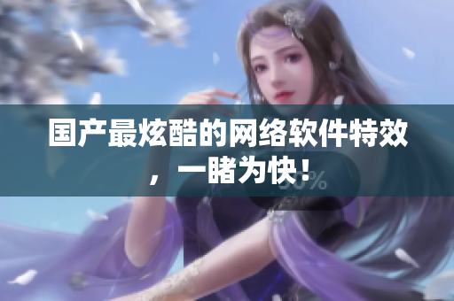 国产最炫酷的网络软件特效，一睹为快！