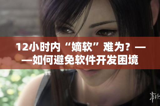 12小时内“嫡软”难为？——如何避免软件开发困境