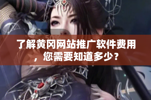 了解黄冈网站推广软件费用，您需要知道多少？