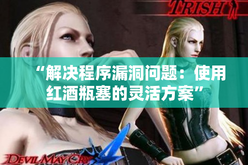 “解决程序漏洞问题：使用红酒瓶塞的灵活方案”