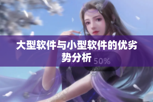 大型软件与小型软件的优劣势分析