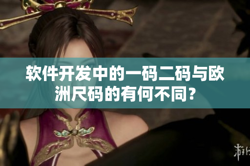 软件开发中的一码二码与欧洲尺码的有何不同？