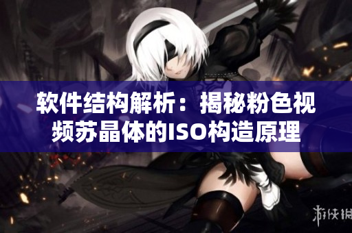 软件结构解析：揭秘粉色视频苏晶体的ISO构造原理