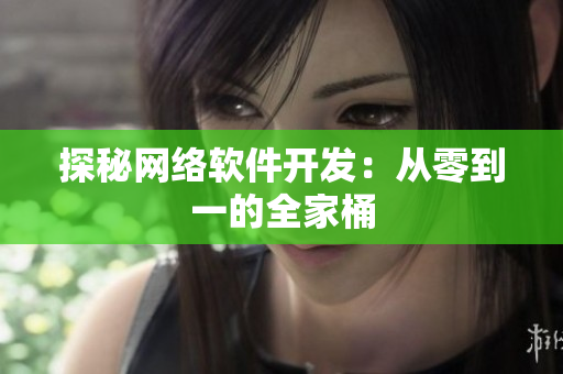 探秘网络软件开发：从零到一的全家桶