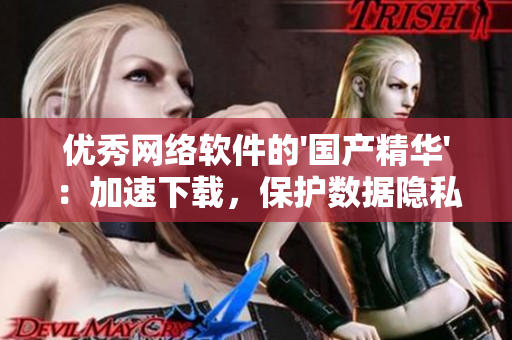 优秀网络软件的'国产精华'：加速下载，保护数据隐私