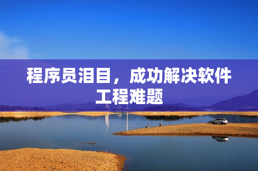 程序员泪目，成功解决软件工程难题