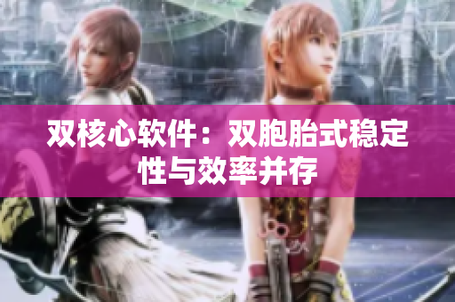 双核心软件：双胞胎式稳定性与效率并存
