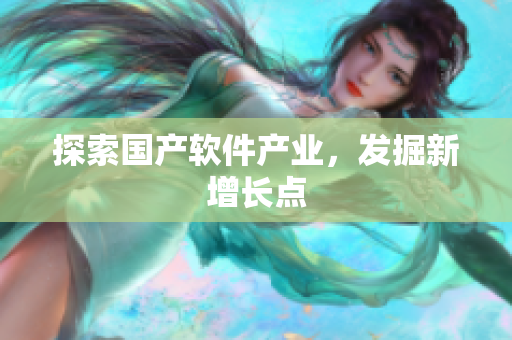 探索国产软件产业，发掘新增长点