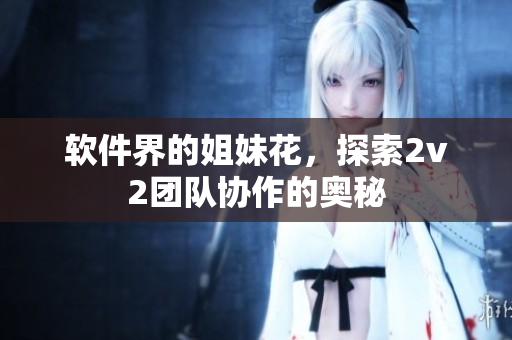 软件界的姐妹花，探索2v2团队协作的奥秘