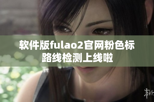 软件版fulao2官网粉色标路线检测上线啦