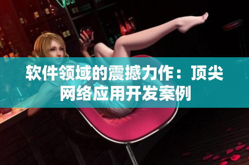 软件领域的震撼力作：顶尖网络应用开发案例