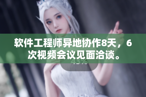 软件工程师异地协作8天，6次视频会议见面洽谈。