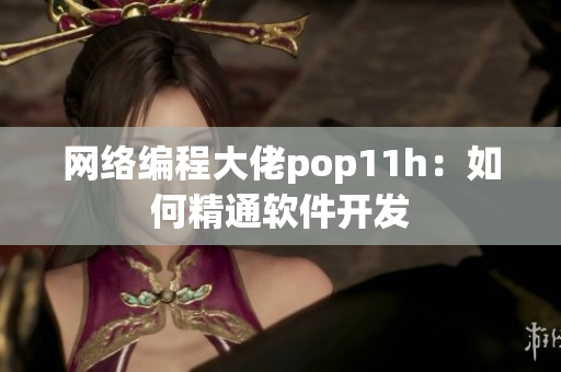 网络编程大佬pop11h：如何精通软件开发