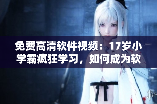 免费高清软件视频：17岁小学霸疯狂学习，如何成为软件开发高手？