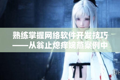 熟练掌握网络软件开发技巧——从翁止熄痒婉燕案例中学习