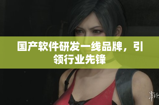 国产软件研发一线品牌，引领行业先锋