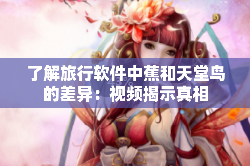 了解旅行软件中蕉和天堂鸟的差异：视频揭示真相