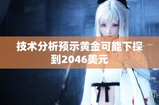 技术分析预示黄金可能下探到2046美元