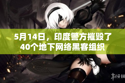 5月14日，印度警方摧毁了40个地下网络黑客组织