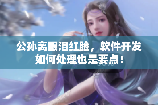 公孙离眼泪红脸，软件开发如何处理也是要点！